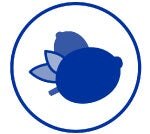 ผ่านการทดสอบทางการแพทย์ผิวหนัง  