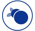 ผ่านการทดสอบทางการแพทย์ผิวหนัง  