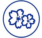 การดูแลดอก